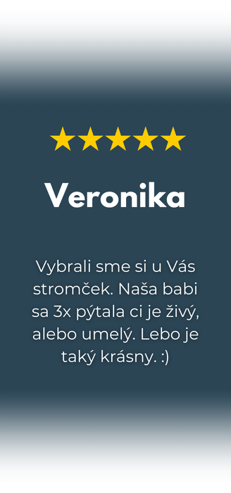 Recenzia na umelý stromček 8